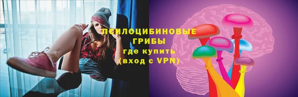 сатива Инсар