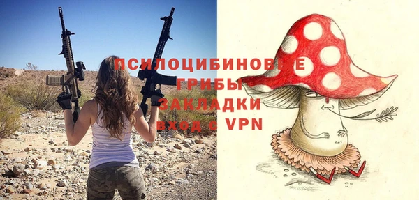 сатива Инсар