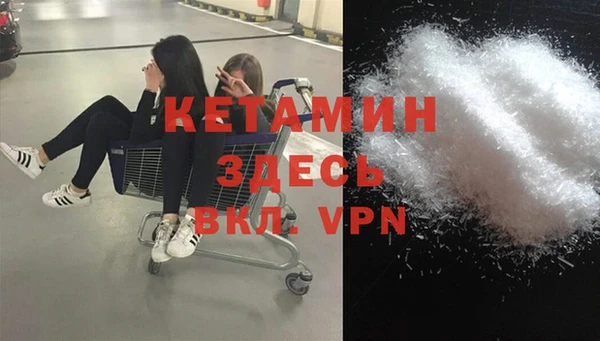 сатива Инсар