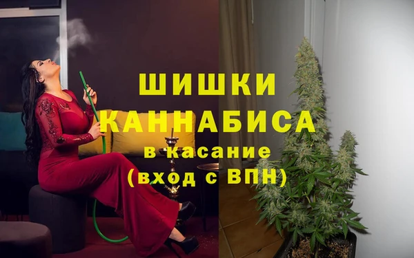 меф Инта