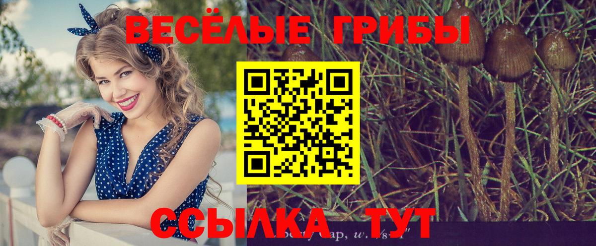 Галлюциногенные грибы прущие грибы  Вход с VPN  Курган  Псилоцибиновые грибы ЛСД 